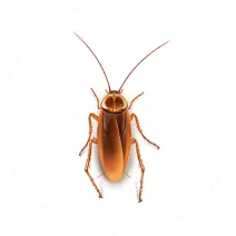 pest control